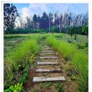 스테이반시 이미지