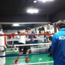 슈가복싱클럽 이미지