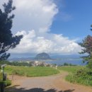 보담애월 이미지