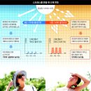 치매예방기체조 이미지