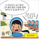오월의햇살