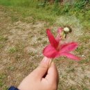 서림공원 유아숲체험원 이미지