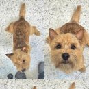 포즈티브 이미지