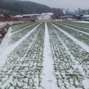 화산면사무소 이미지