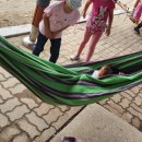 신창초교병설유치원 이미지