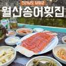 넝쿨횟집 | &lt;전라남도 담양군&gt; 아기랑 계곡 식당, 백숙 평상 맛집 “월산송어횟집”