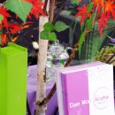 대원아로마 이미지