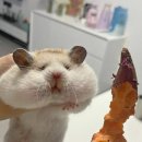 먹다