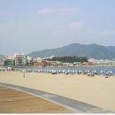 남도의 향기
