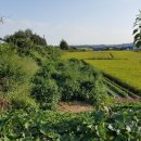 연향중앙상가길 이미지