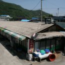 도계중앙시장 이미지