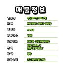 영남 레미안 (오피스텔) 이미지