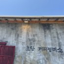 경포주유소 | [강릉] 강아지와 2박 3일 애견동반 강릉여행 코스 추천 3 (+초당커피정미소)