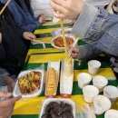 인기척 게스트하우스 | [제주 애월 게스트하우스] 인기척 - 소규모 포틀럭, 벚꽃 없는 벚꽃축제