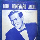 Look Homeward, Angel - Johnnie Ray - 이미지