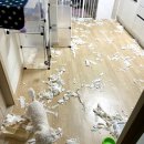 호남센터-58 이미지