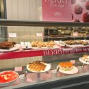 애슐리클래식홈플러스청주점 | 청주 NC백화점 애슐리퀸즈 딸기축제 내돈내산(+원더아리아점과 비교)