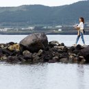 형우목장 이미지