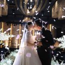 부산 본식스냅 다비다웨딩홀 웨딩 다소니스냅 <b>합동</b> 결혼식 촬영!