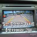 일산 블랙박스 카지트 후방카메라 교체 후기