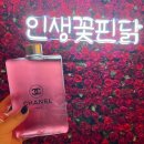 송도에 꽃핀닭 이미지