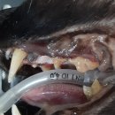 방학동물병원 이미지