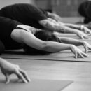 힐링요가 이미지