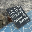 선인민박 | 제주 동쪽 소규모 파티 게스트하우스, 노을 맛집 소심한 게스트하우스