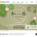 지와감심리상담센터