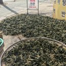 수재감자탕