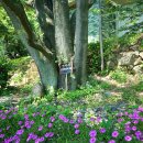 내눌삼거리방조제앞 이미지