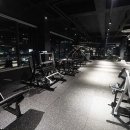 팀JJ피트니스옥계점 네이버블로그