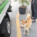 영등동-13 이미지