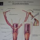 고득영동물병원 이미지