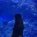 2박 3일 부산여행🌊🌊