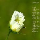 목마와숙녀 - 동해시 대동로 118-1 | 목마와숙녀