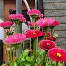 창원 유주비각 이미지