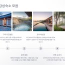 월명실내수영장 | 4월은 벗 꽃 보다 동백꽃 이쥐~~