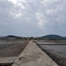 무안황토갯벌랜드(과학관) 이미지