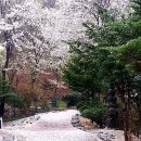 죽포미술관 이미지