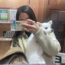 네이처리퍼블릭김포통진점 | 롱디의 11월의 부산여행 1편 (해운대 파라다이스호텔 온더플레이트 후기)