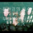 김포아름누리 건강한 하이아미 이미지