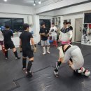 신흥체육도장 이미지