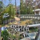 [충남 서산] 초록초록한 숲이 있는 카페, 카페모월