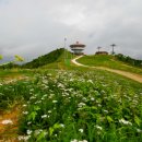백운산약국
