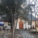 알리바이 화정점 | 2020.01.18 호주 산불의 꺼지길