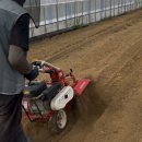 오이씨농장1 | 오이농장 알바일기 👩🏻‍🌾🥒