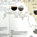 시흥 늠내(옛길, 갯골길)길 22km 도보(1월 23일) 이미지
