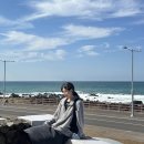 삼영목장 | [여행일기] 잊지 못할 제주도의 추억들을 전부 모아