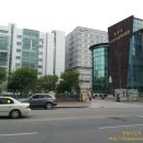 조은미트 이미지